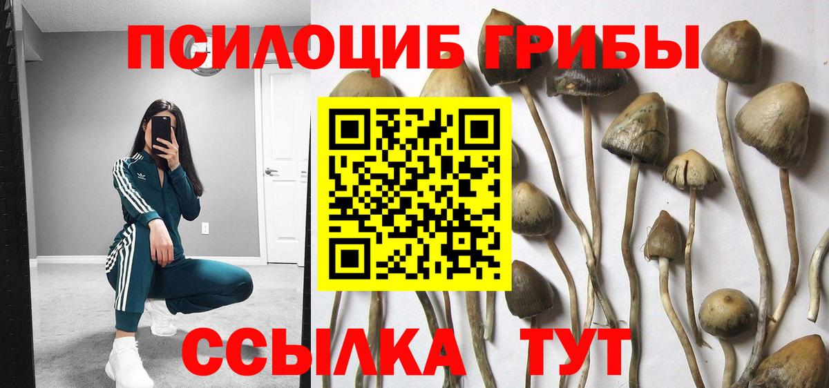 Чапаевск  Галлюциногенные грибы GOLDEN TEACHER  Вход с VPN 